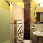 Podere Oliveta Landhaus