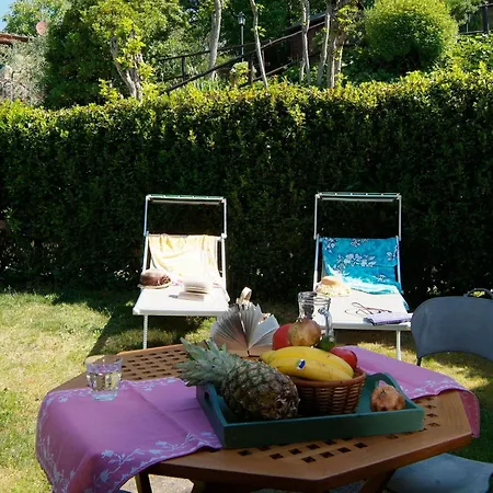 Podere Oliveta Poggibonsi