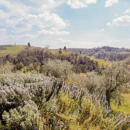 Podere Oliveta * Poggibonsi