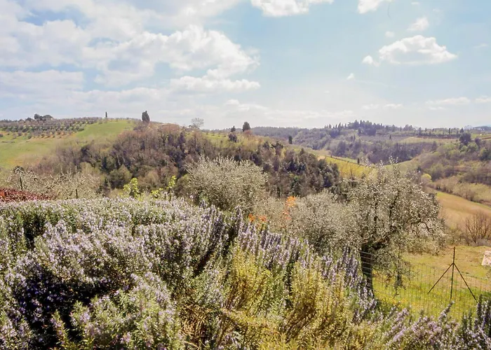 Podere Oliveta * Poggibonsi